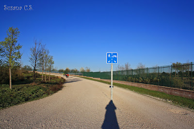 Carril bici - Parque Forestal de Valdebebas - Felipe VI (Madrid)