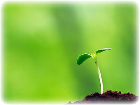 The Alchemist Themes Essay Free Essay Example