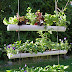 Gutter Garden Ideas