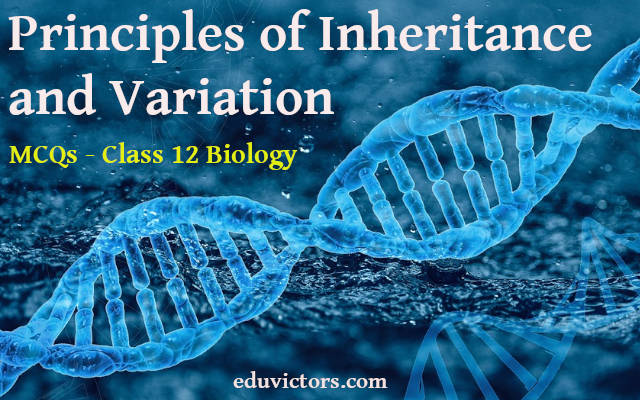 case study based questions principles of inheritance and variation