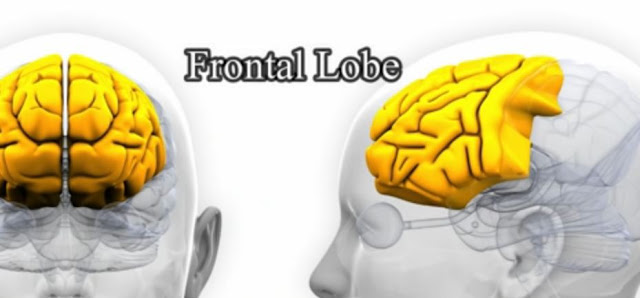 Brain Excercise for Manifestation | Healthy Minds