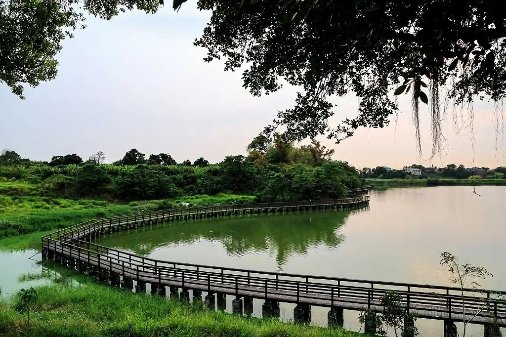 離開人群市區｜台南親山步道懶人包｜多接近大自然一起強身健體｜特輯