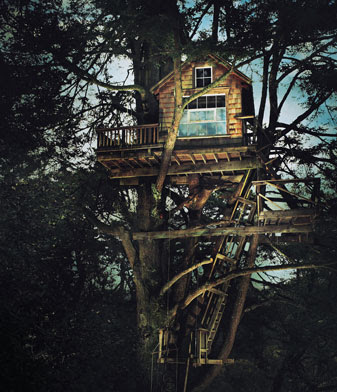 children's tree houses