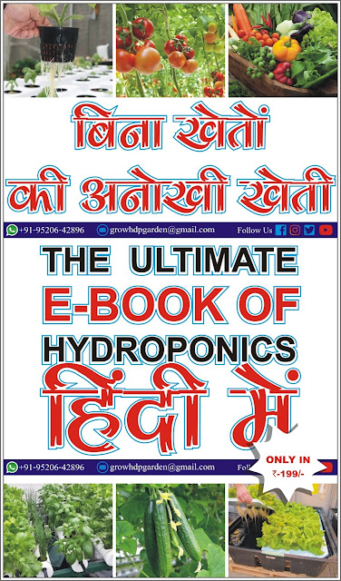 Bina Kheton Ke kheti Hydroponics बिना खेतों के खेती हाइड्रोपॉनिक्स