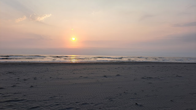 sunset grayland beach washington tramonto