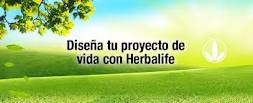 herbalife oferta