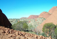 View of Kata Tjuta from the Karu lookout