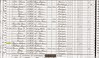 Catherine McGuire in 1870 census