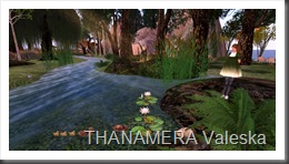 Snapshot_003
