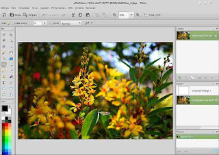 Cara Instal Pinta Image Editor Di Linux Mint
