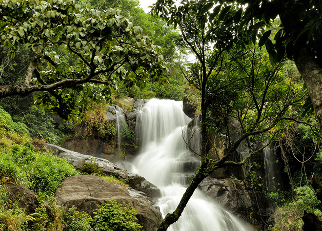 Chethalayam waterfalls wayanad