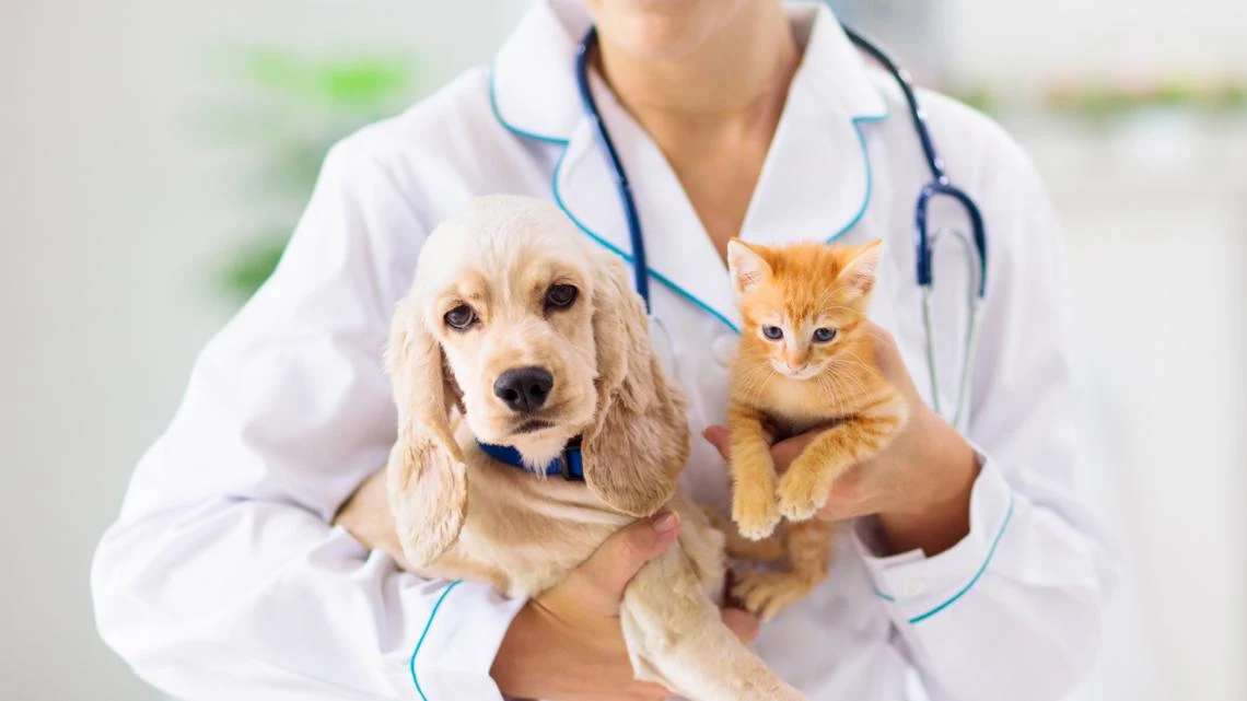 VIP Pet Care Pet Supplies Plus