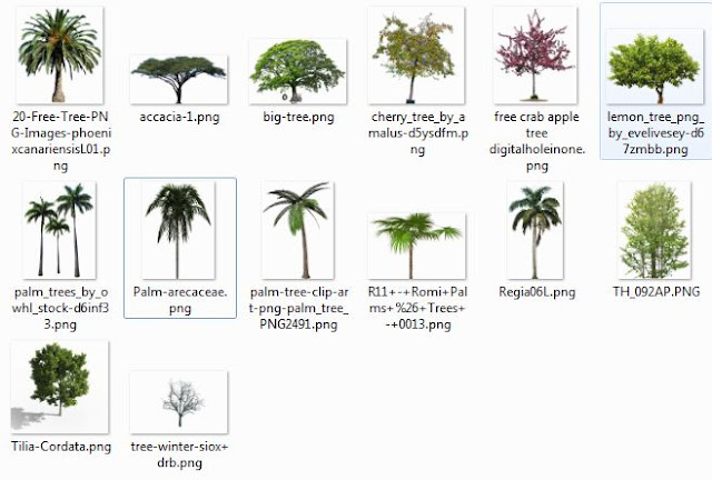 Photoshop Palm Trees Png 18