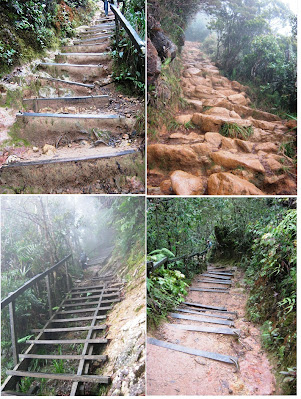 track-pendakian-gunung-kinabalu