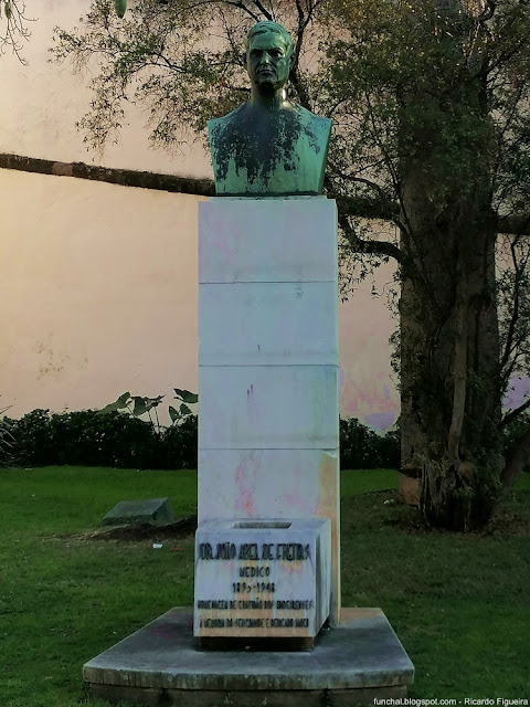 BUSTO DR. JOÃO ABEL DE FREITAS - FUNCHAL