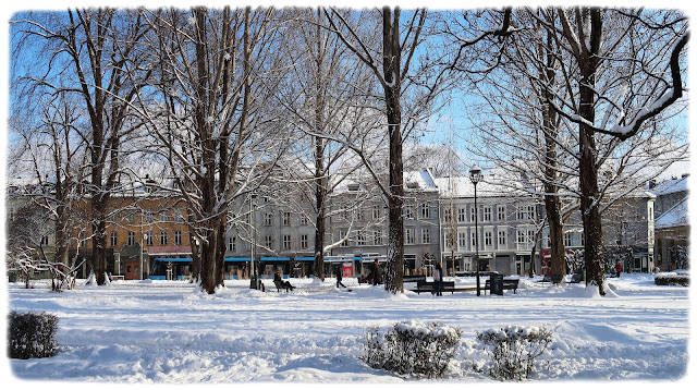 Olaf Ryes plass sett fra Sofienberggata på Grünerløkka i Oslo.