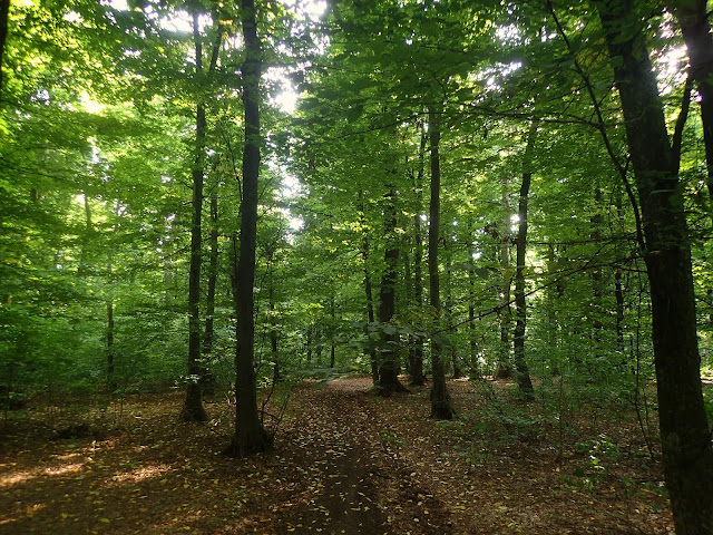 Okolice Dealul Balanesti (429 m n.p.m.), najwyższego szczytu Mołdawii