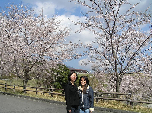 Kirishima Shinwa no Sato Park