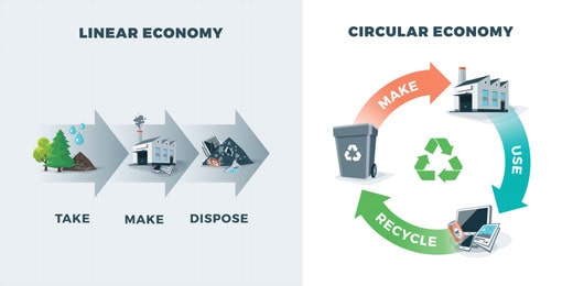 Linear / circular economy