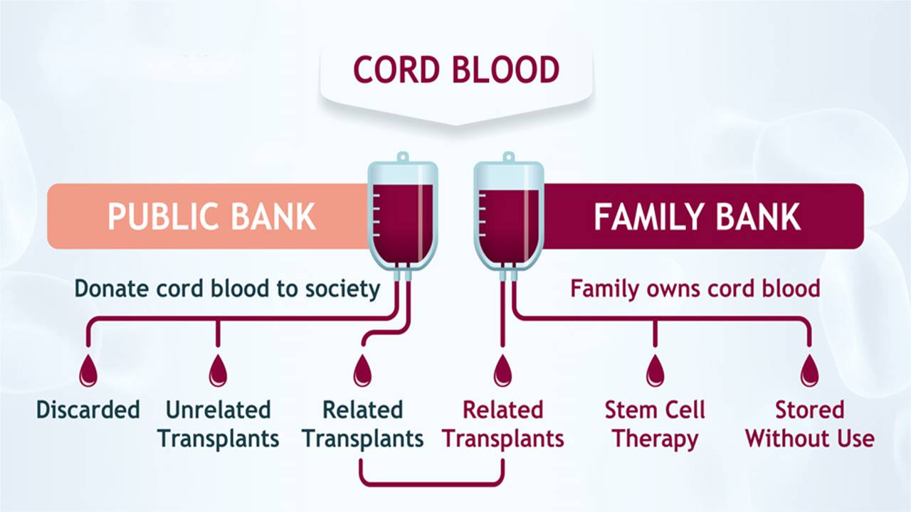 What is Family Cord Blood Banking?