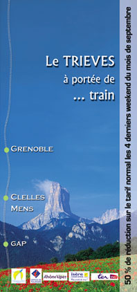 The contributions of the servise for the town of Grenoble