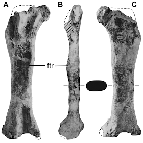 http://www.plosone.org/article/info%3Adoi%2F10.1371%2Fjournal.pone.0069375