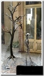 Skeleton scrubture (7)