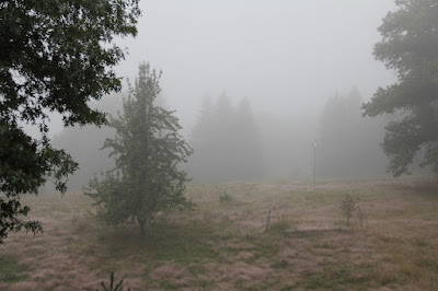 late summer fog