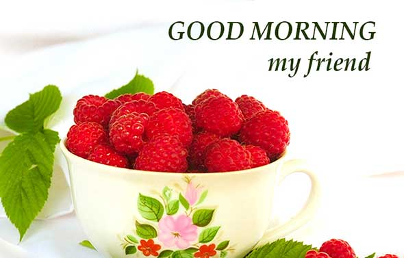 70+ Good Morning SMS, Wishes, Quotes And Gif Images HD Download