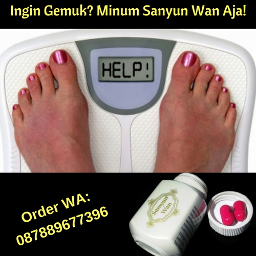 Samyun Wan Original, Obat Herbal Penggemuk Badan Wanita, Jamu Herbal Untuk Penggemuk Badan