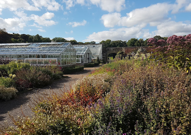 Some of the glasshouses