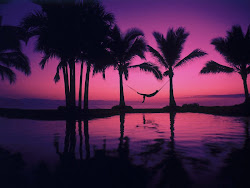 Paradise.