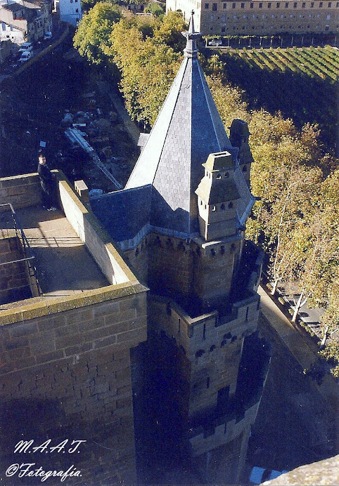 Olite (Navarra).