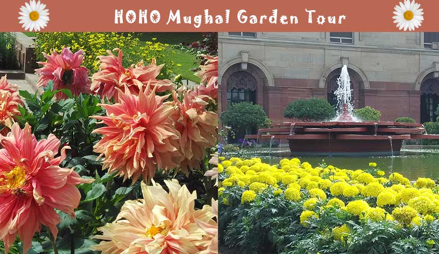 http://hohodelhi.com/mughal-garden/?utm_source=Mughal%20Garden%20Blog%20to%20HOHODelhi&utm_campaign=Mughal%20Garden%20Blog%20Post%20-%20CTA&utm_medium=Mughal%20Garden%20Blog%20Post%20-%20CTA&utm_term=Mughal%20Garden%20Blog%20Post%20-%20CTA&utm_content=Mughal%20Garden%20Blog%20Post%20-%20CTA