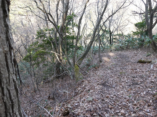 孝霊山　中腹の急な坂道