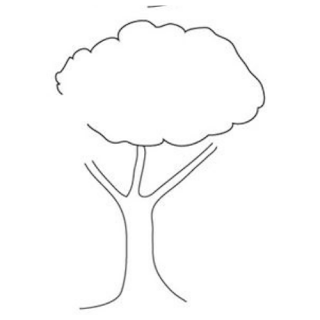 How To Draw Tree With Branches And Leaves Easy