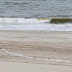 Stichting Doggerland & Ambassade van de Noordzee publiceren pamflet voor de Doggersbank