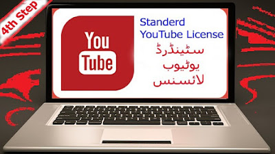 How to use standard YouTube license videos