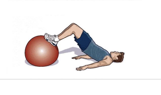 low back exercises on swiss ball