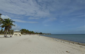 spiaggia quasi deserta  in florida