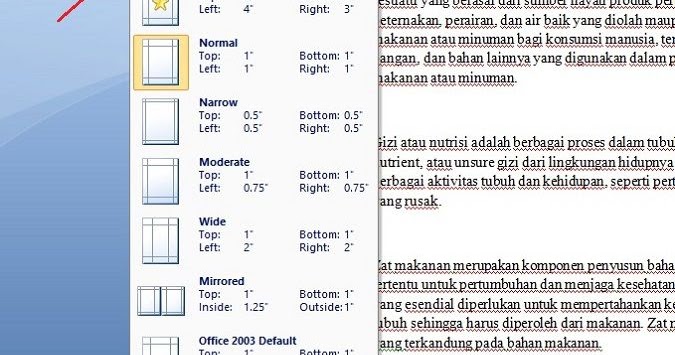 Cara Mengatur "Margin" di Microsoft Word untuk Makalah 