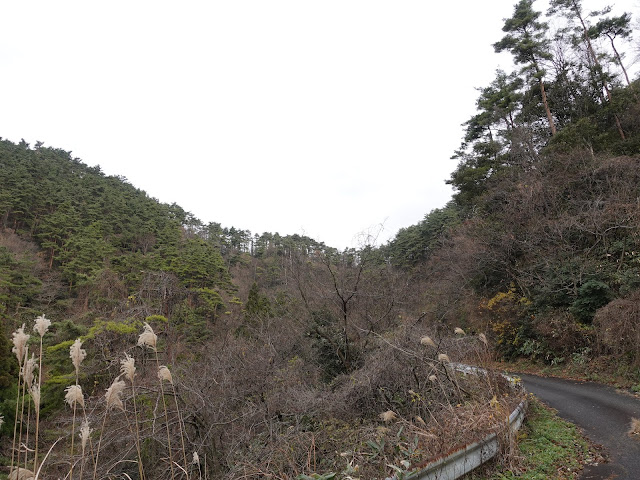 赤松池の脇道を降ります