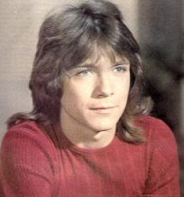 Men's Fashion Haircut Styles With Image David Cassidy Hairstyles With Classic Men's Shag Haircuts Picture 6