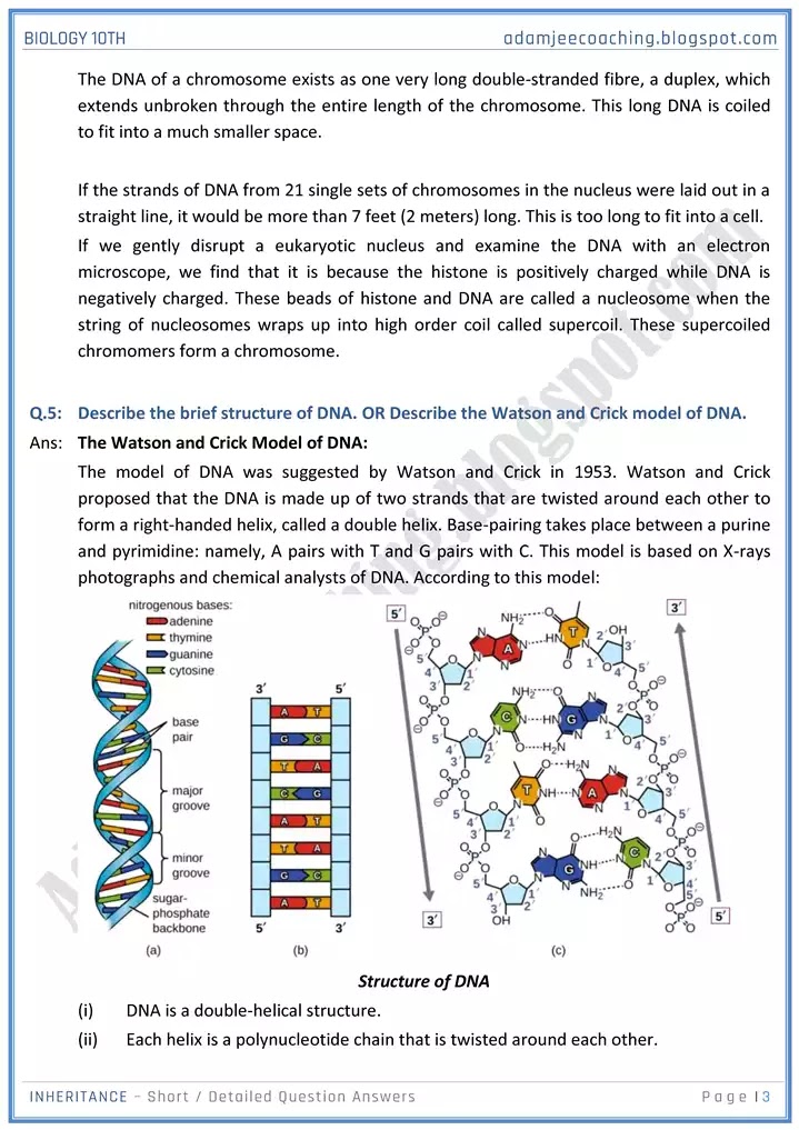 inheritance-short-and-detailed-answer-questions-biology-10th