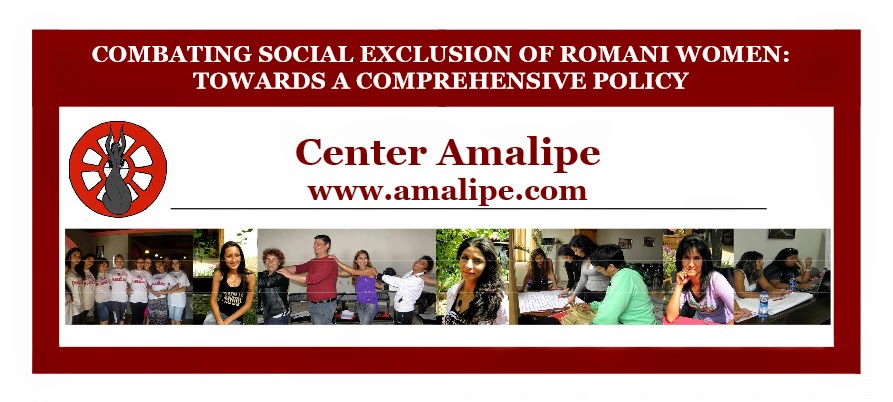 http://amalipe.com/files/publications/final_publication.pdf