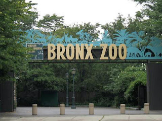 Visiter Zoo du Bronx