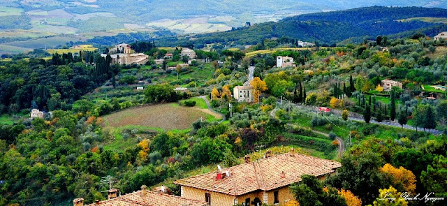 Road to Montalcino, Tuscany, Italy. 