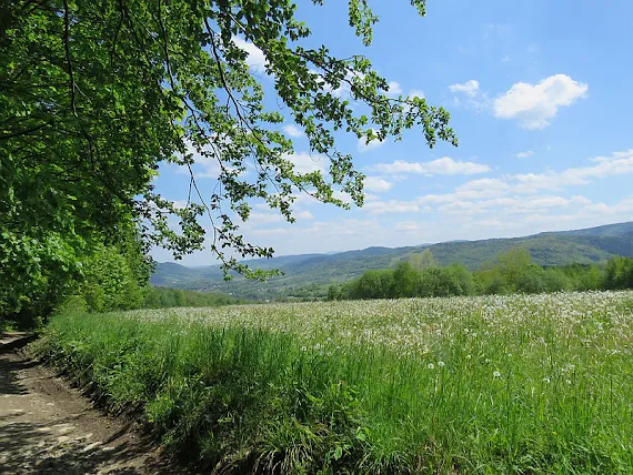 Beskid Makowski wiosna