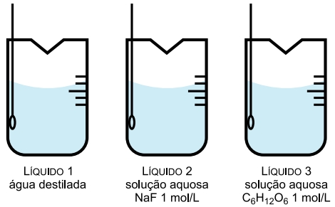 A figura apresenta três béqueres contendo, separadamente, volumes iguais de água destilada (líquido 1), solução aquosa de fluoreto de sódio (NaF) 1 mol/L (líquido 2) e solução aquosa de glicose (C6H12O6) 1 mol/L (líquido 3).