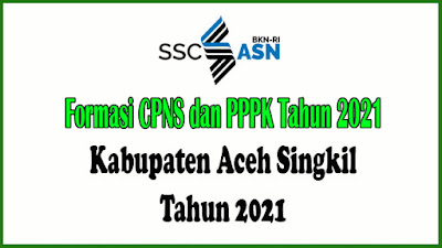 RINCIAN PENETAPAN KEBUTUHAN APARATUR SIPIL NEGERA DI LINGKUNGAN PEMERINTAH KABUPATEN ACEH SINGKIL TAHUN ANGGARAN 2021